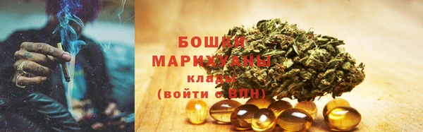 дживик Майский