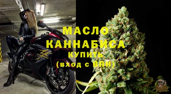 дживик Майский