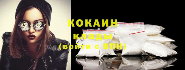 дживик Майский