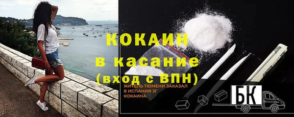дживик Майский