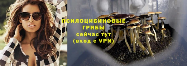 дживик Майский