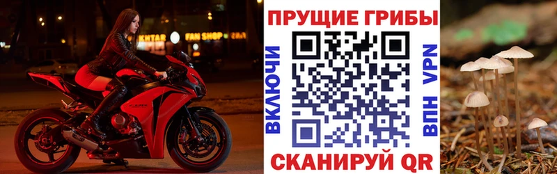 Псилоцибиновые грибы Magic Shrooms  OMG маркетплейс  Орёл 